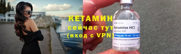 твердый Козельск