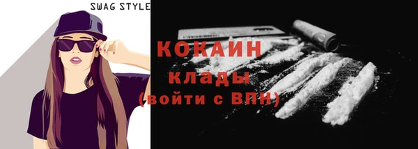 твердый Козельск
