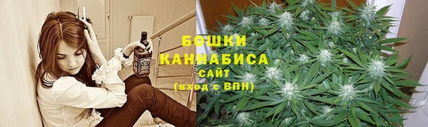 твердый Козельск