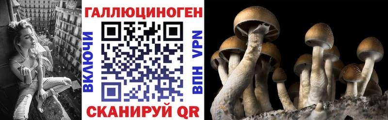 наркота  Юрга  Псилоцибиновые грибы мухоморы 