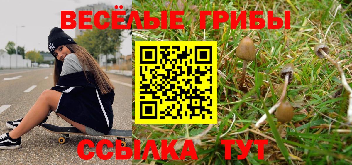 Юрга  Галлюциногенные грибы прущие грибы  Галлюциногенные грибы ЛСД  Вход с VPN 
