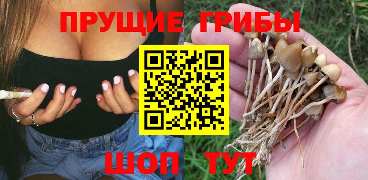 Псилоцибиновые грибы GOLDEN TEACHER Юрга